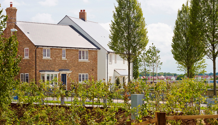 Housing in Ashford