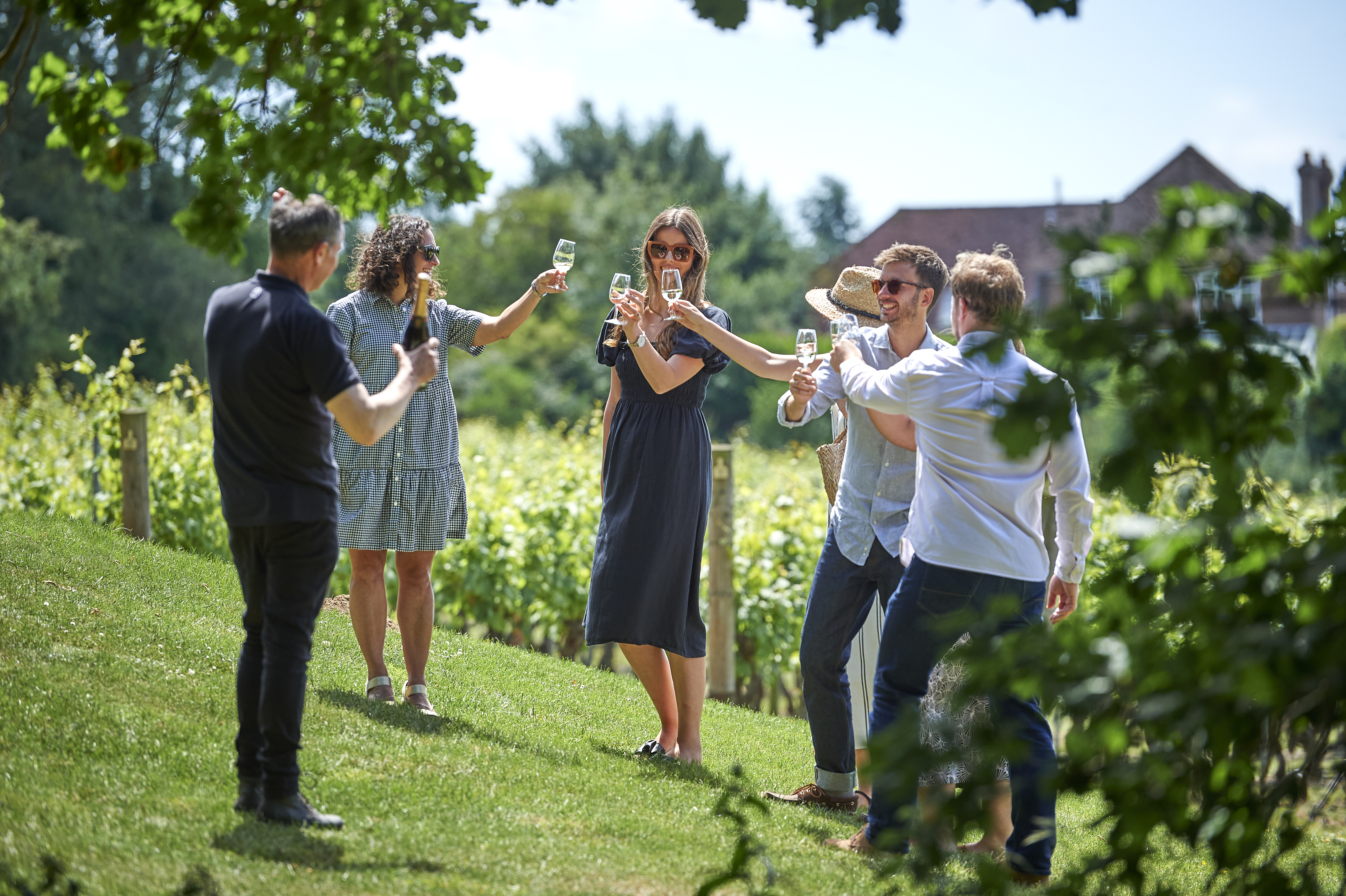wine tour group in a vineyard